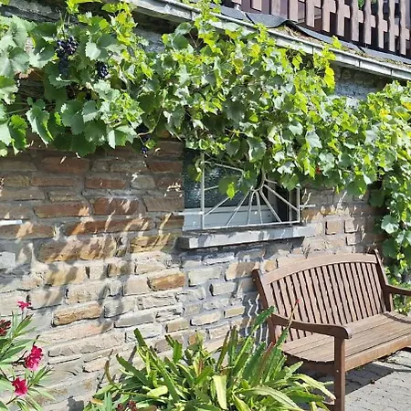 Moselhof Appartement