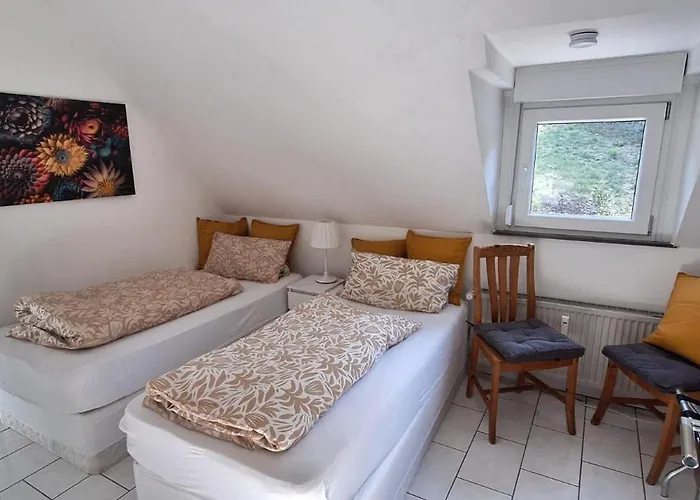 Moselhof Burg (Bernkastel-Wittlich)